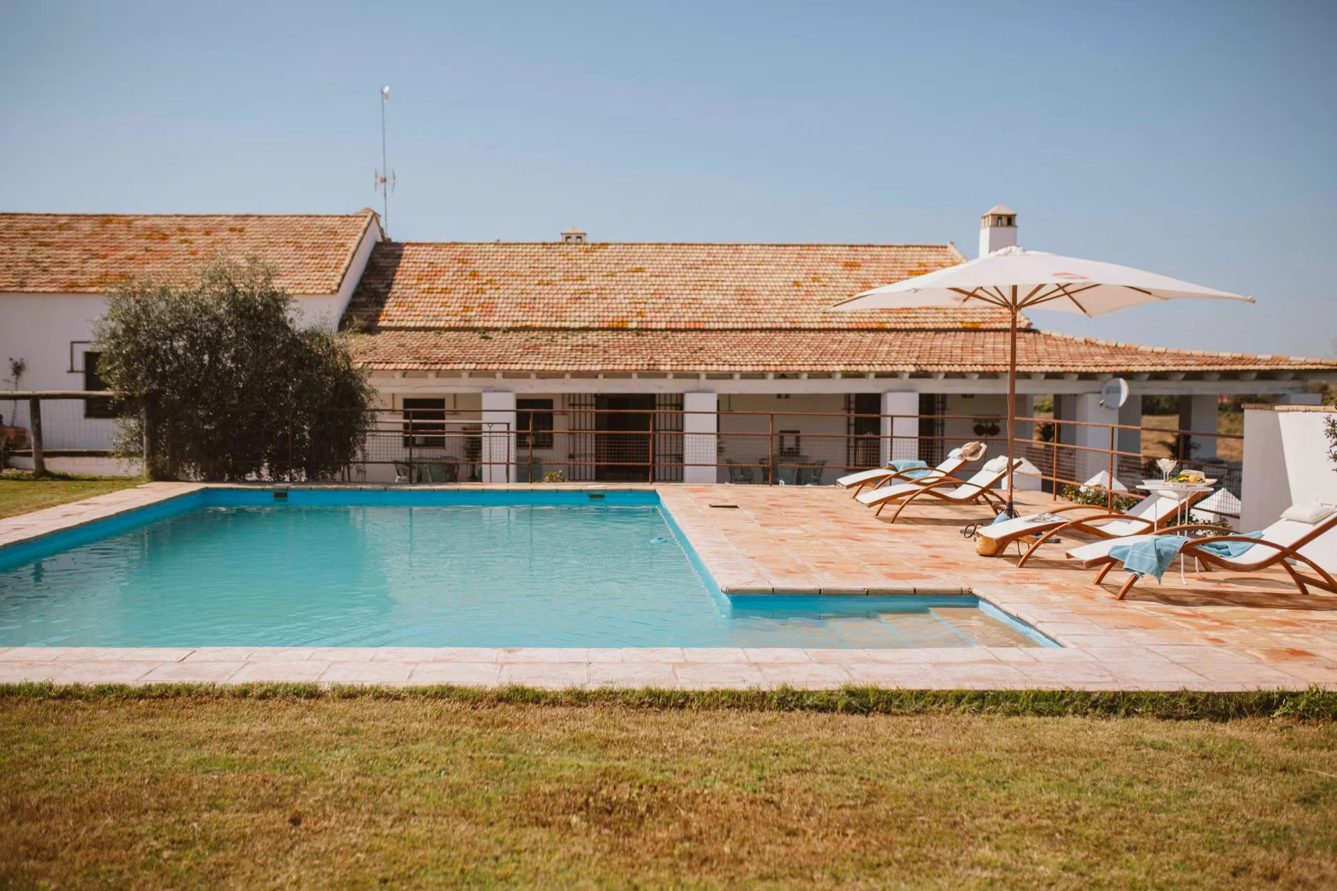 Sunlit pool at a rural Andalusian estate surrounded by olive groves